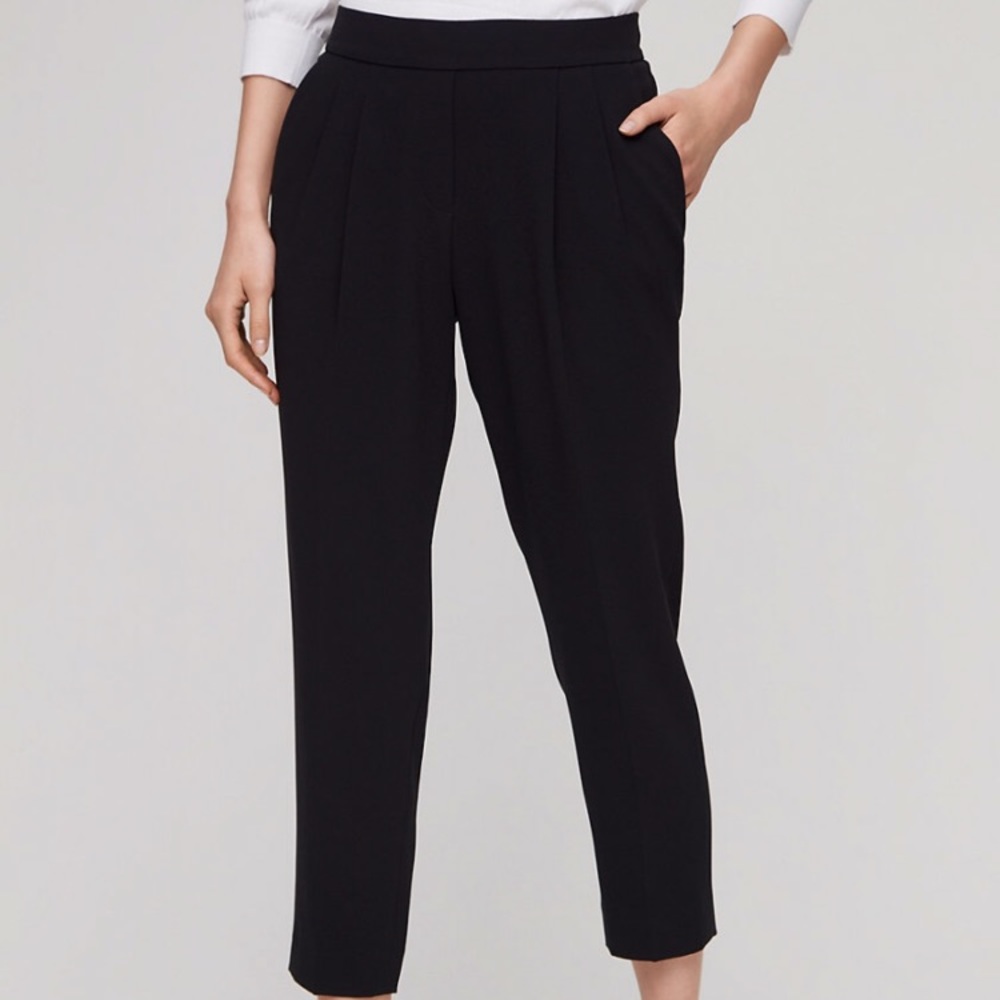 Aritzia Babaton Cohen pants